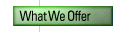 What We Offer